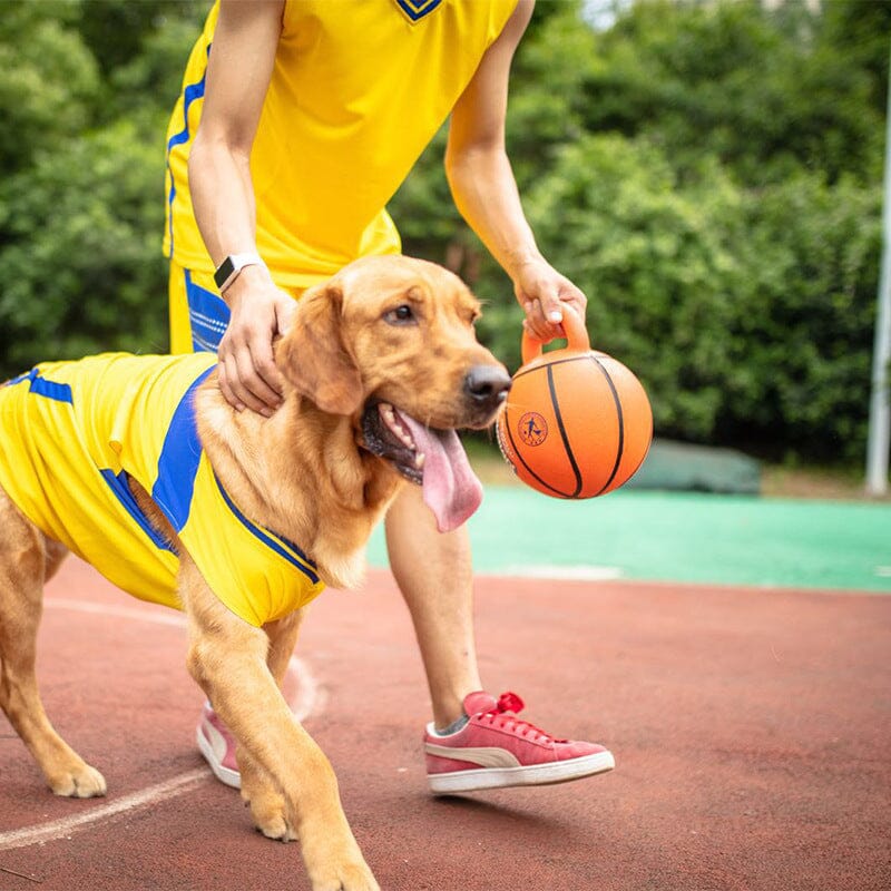 Hunde-Trainingsball - Jumball MONTE-PETS 