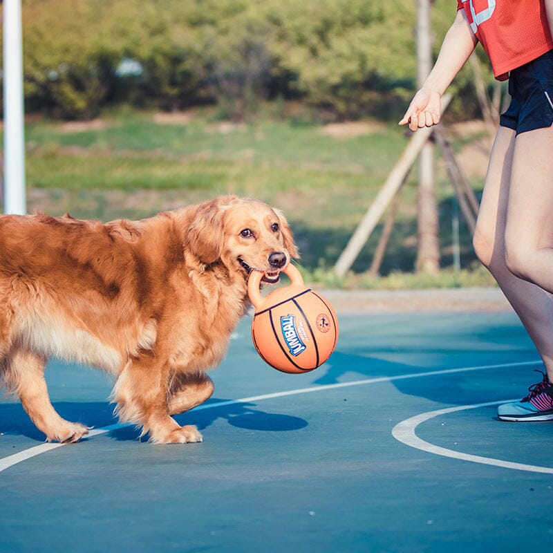 Hunde-Trainingsball - Jumball MONTE-PETS 