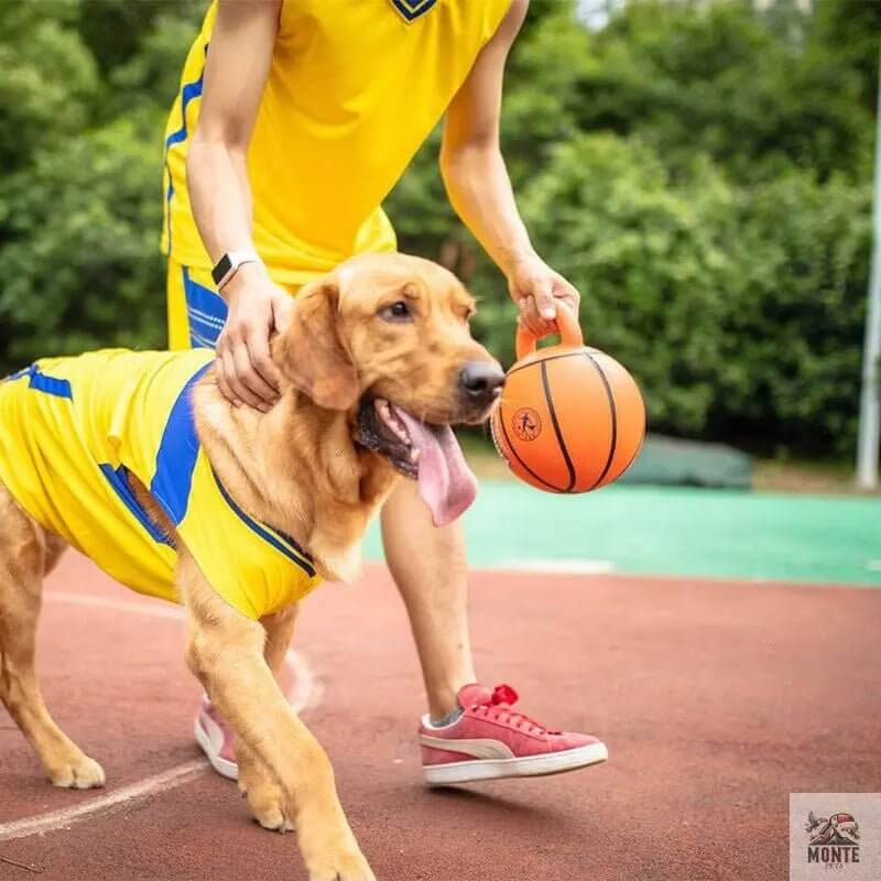 Jumball – Hundespielball mit Griff für Apportierspaß im XXL-Format | MONTE PETS