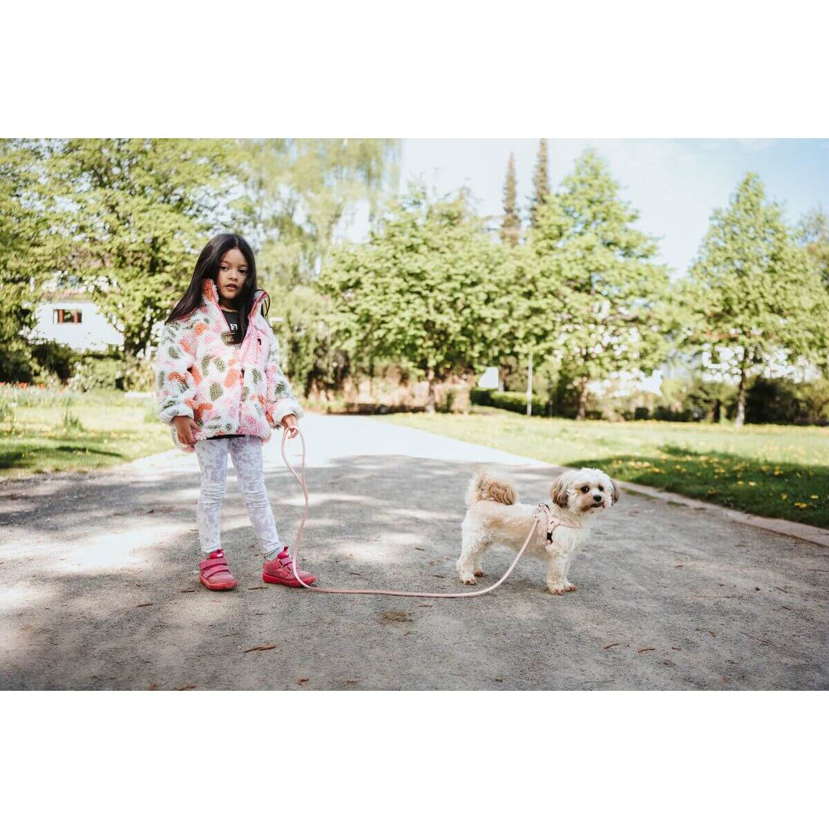 V3H3C5DDB83E94069E2D58F1BBB4AE6BB1CR5575747P4