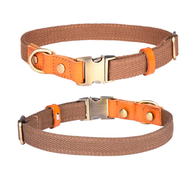 Hundehalsband - Komfort Klassik Hundesicherheit MONTE-PETS Braun L 