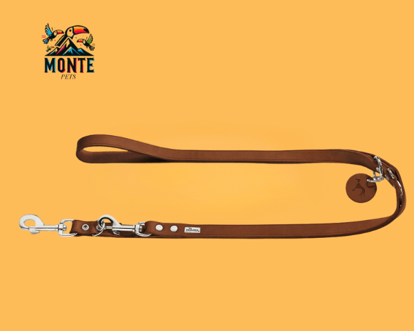 Hundeleine Hunter Braun 200 cm | MONTE PETS 