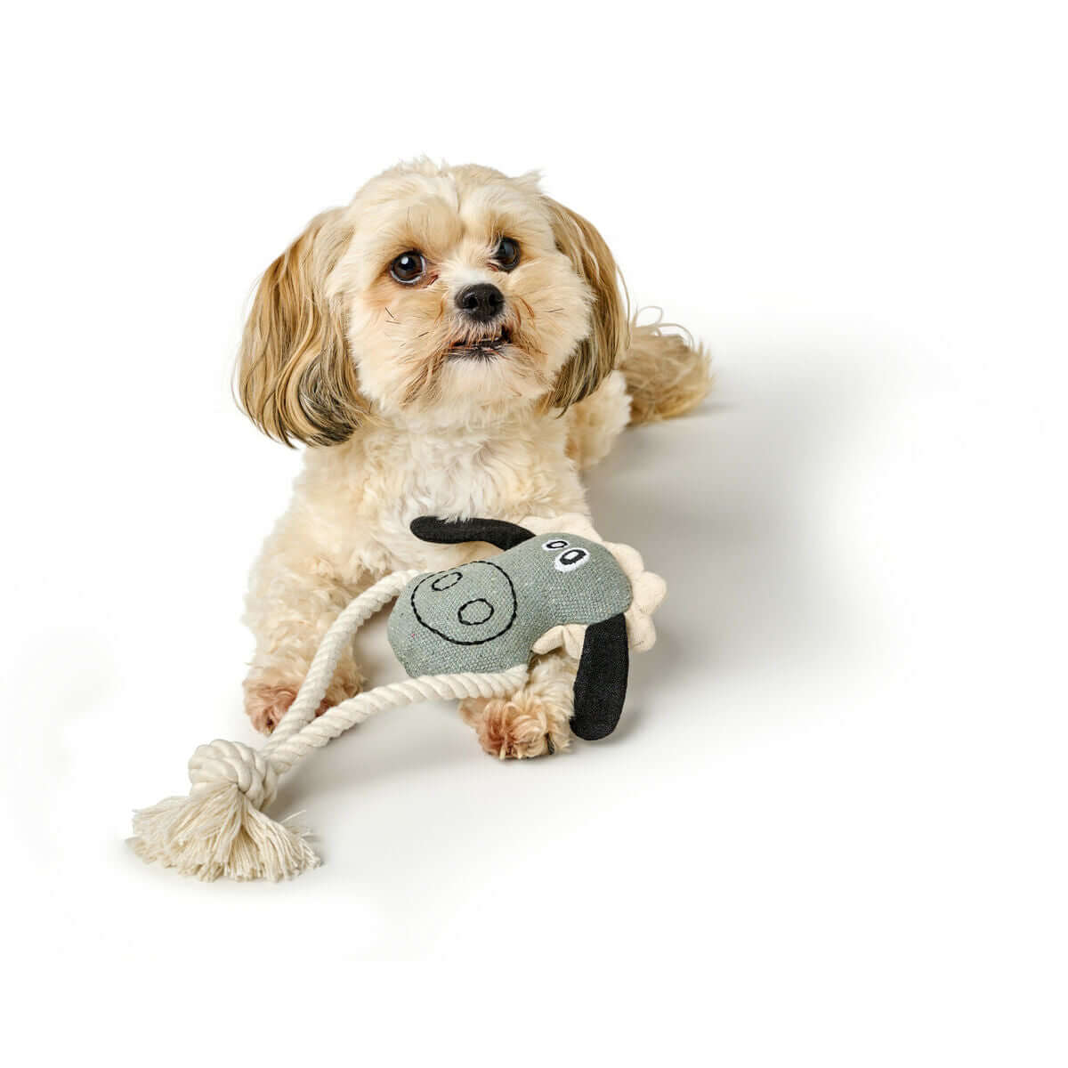 Hundespielzeug Hunter NEBRASKA Blau Polyester Schaf 