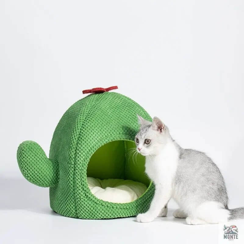 Kaktus Kuschelhöhle – Rückzugsort für Katzen & kleine Hunde | MONTE PETS