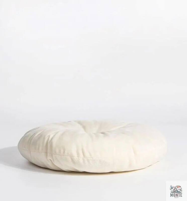 Kaktus Kuschelhöhle – Rückzugsort für Katzen & kleine Hunde | MONTE PETS