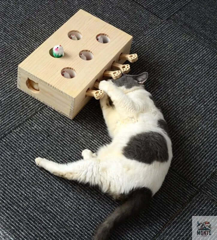 Katzenspaß Deluxe – Interaktives Katzenspielzeug aus Holz | MONTE PETS