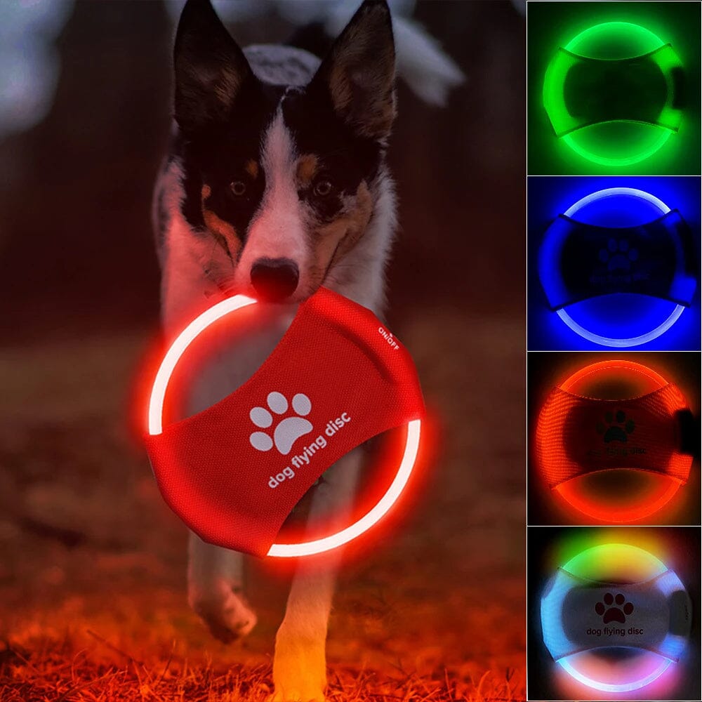 LED-Hundefrisbee - LightFlyer Pro Hundespielzeug MONTE SHOP 