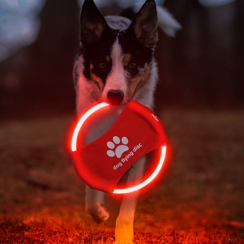 LED-Hundefrisbee - LightFlyer Pro Hundespielzeug MONTE SHOP 