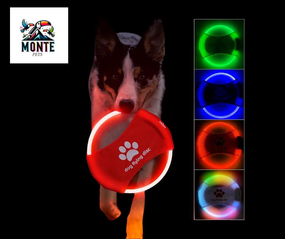 LED-Hundefrisbee - LightFlyer Pro Hundespielzeug MONTE SHOP 