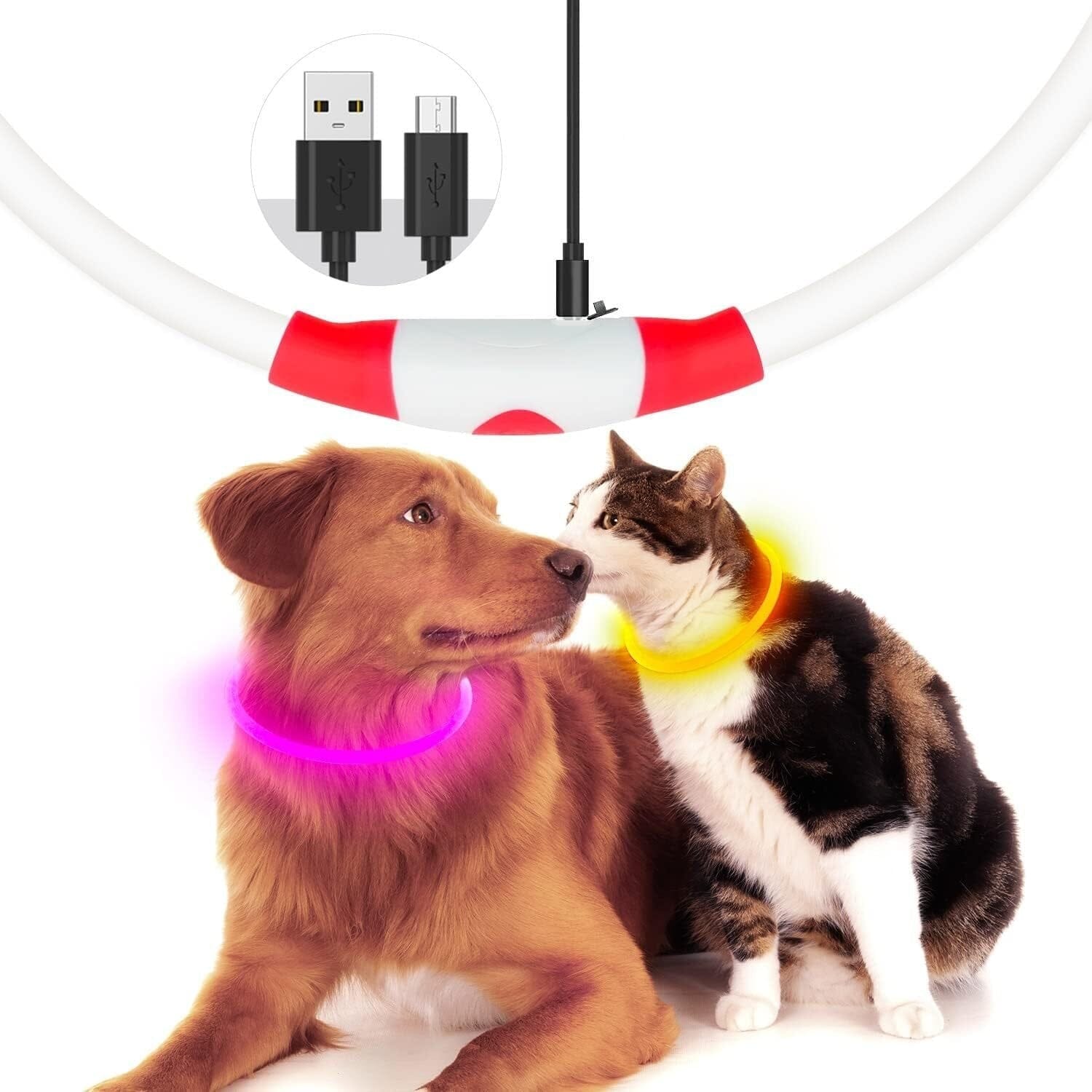 LED-Hundehalsband - GlowSafe-MONTE-PETS