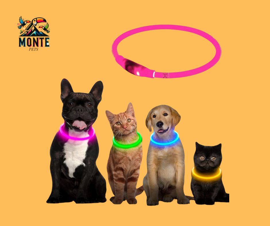 LED-Hundehalsband - GlowSafe-MONTE-PETS