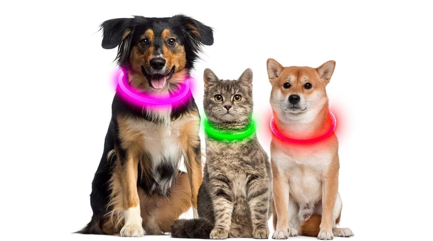 LED-Hundehalsband - GlowSafe-MONTE-PETS