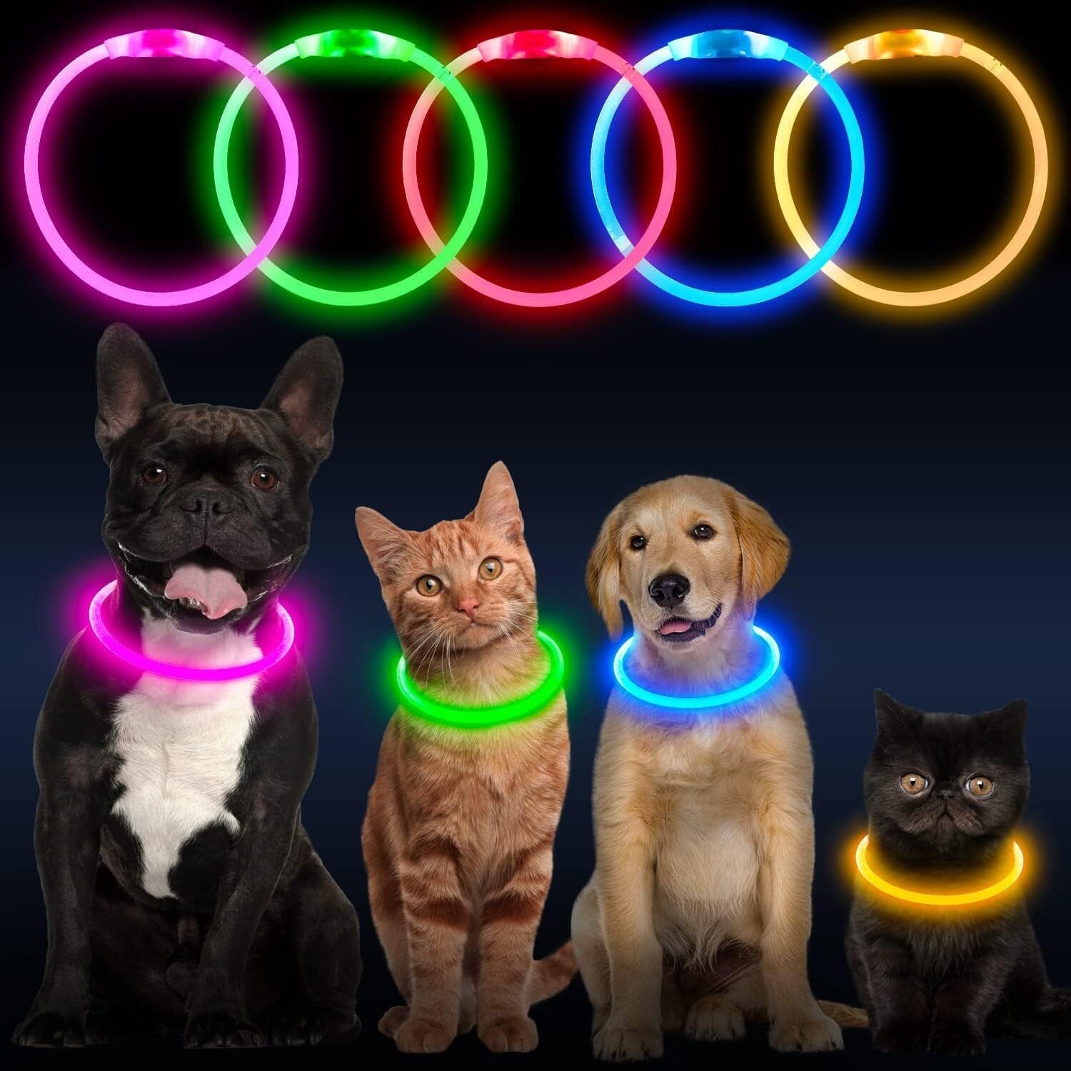 LED-Hundehalsband - GlowSafe-MONTE-PETS