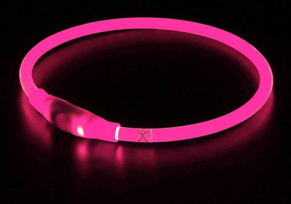 LED-Hundehalsband - GlowSafe-MONTE-PETS