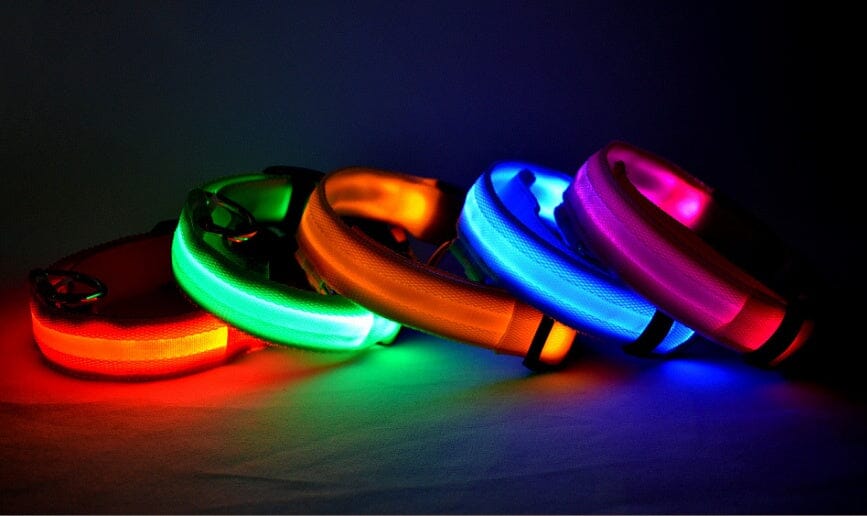 LED Hundehalsband | Sicher und stylisch bei Nacht-MONTE-PETS