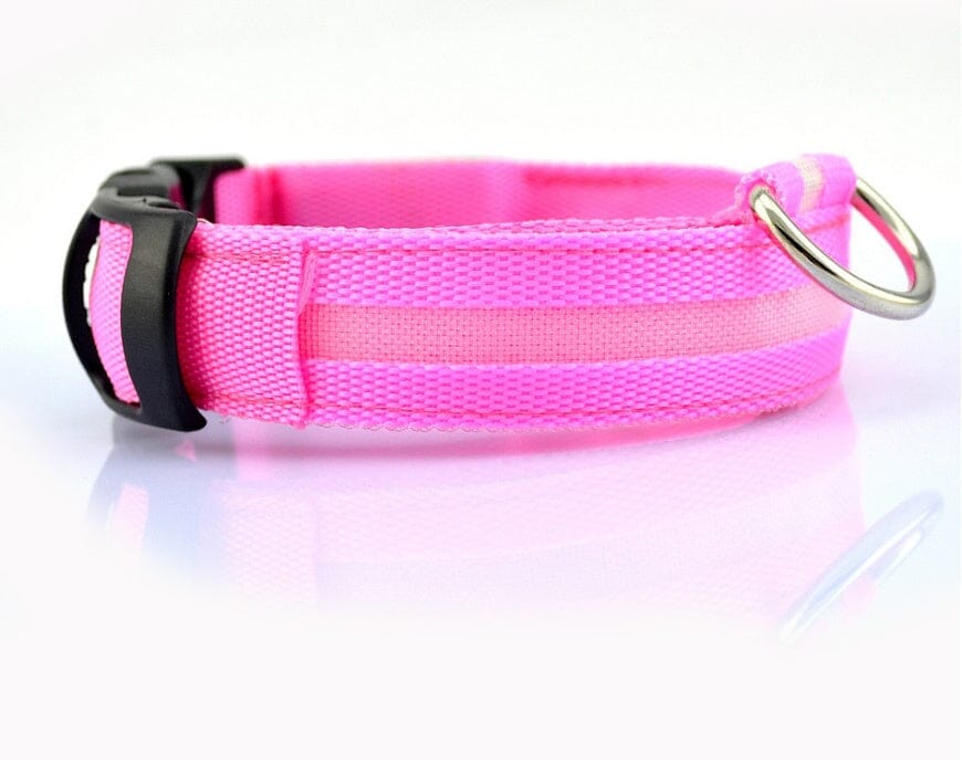 LED Hundehalsband | Sicher und stylisch bei Nacht-MONTE-PETS