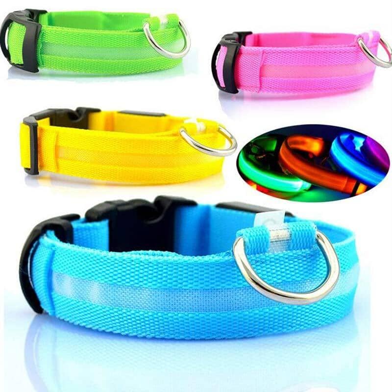 LED Hundehalsband | Sicher und stylisch bei Nacht-MONTE-PETS