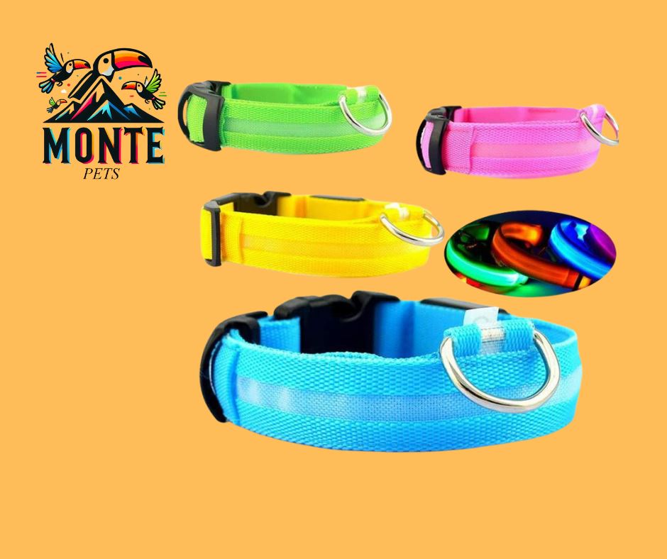 LED Hundehalsband | Sicher und stylisch bei Nacht-MONTE-PETS