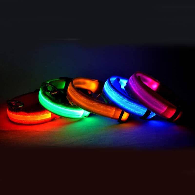 LED Hundehalsband | Sicher und stylisch bei Nacht-MONTE-PETS