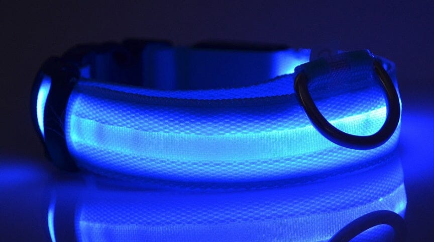 LED Hundehalsband | Sicher und stylisch bei Nacht-MONTE-PETS