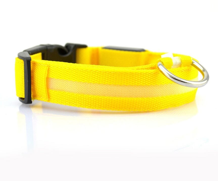 LED Hundehalsband | Sicher und stylisch bei Nacht-MONTE-PETS