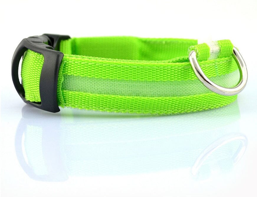 LED Hundehalsband | Sicher und stylisch bei Nacht-MONTE-PETS