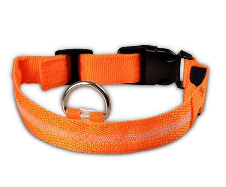 LED Hundehalsband | Sicher und stylisch bei Nacht-MONTE-PETS