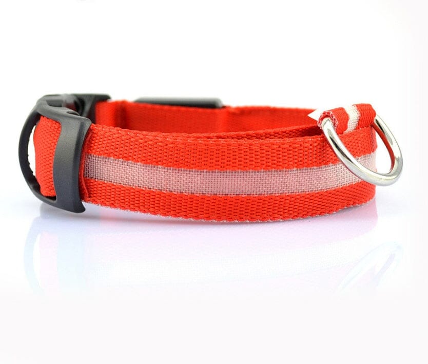 LED Hundehalsband | Sicher und stylisch bei Nacht-MONTE-PETS