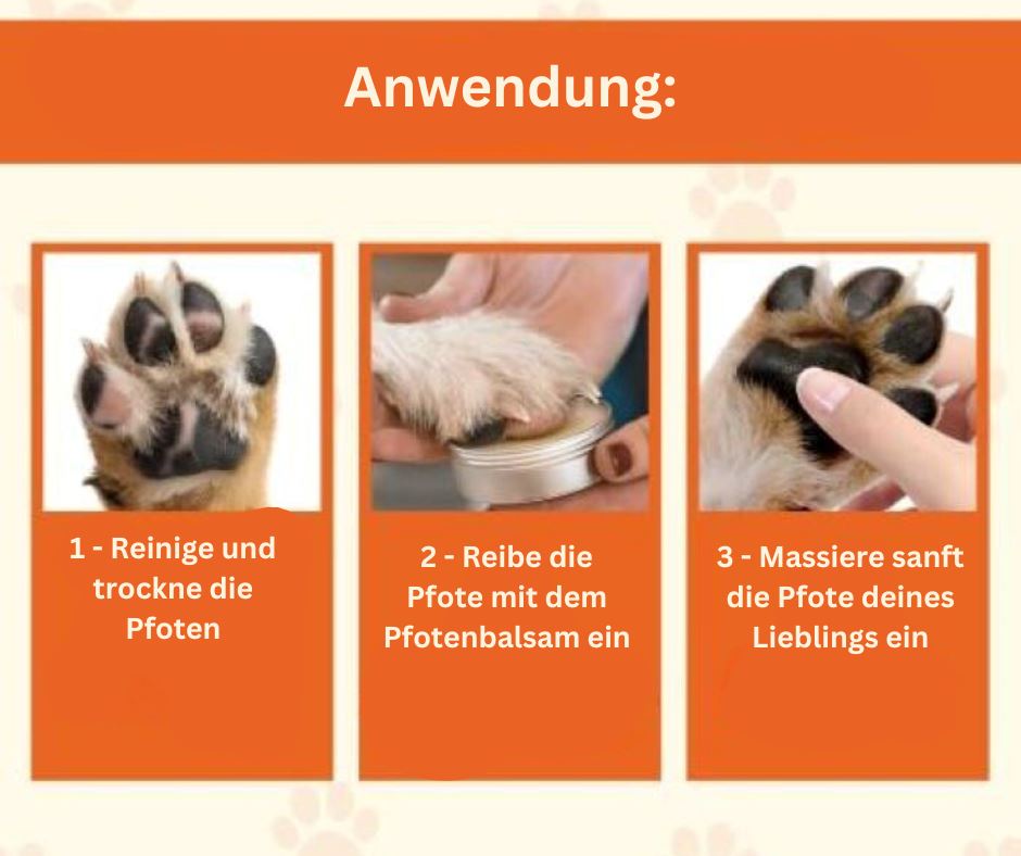 Pfotenbalsam | Schutz und Pflege für empfindliche Pfoten Hundepflege MONTE-PETS 