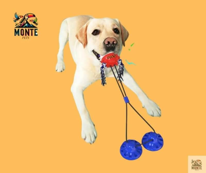PowerPlay für Kauprofis – Hundespielzeug Rot Groß | MONTE PETS