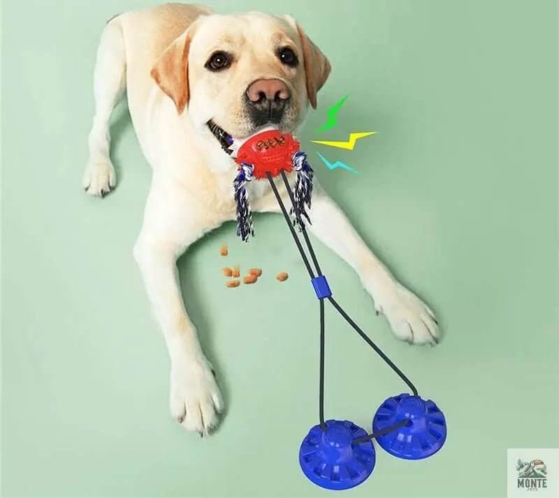 PowerPlay für Kauprofis – Hundespielzeug Rot Groß | MONTE PETS