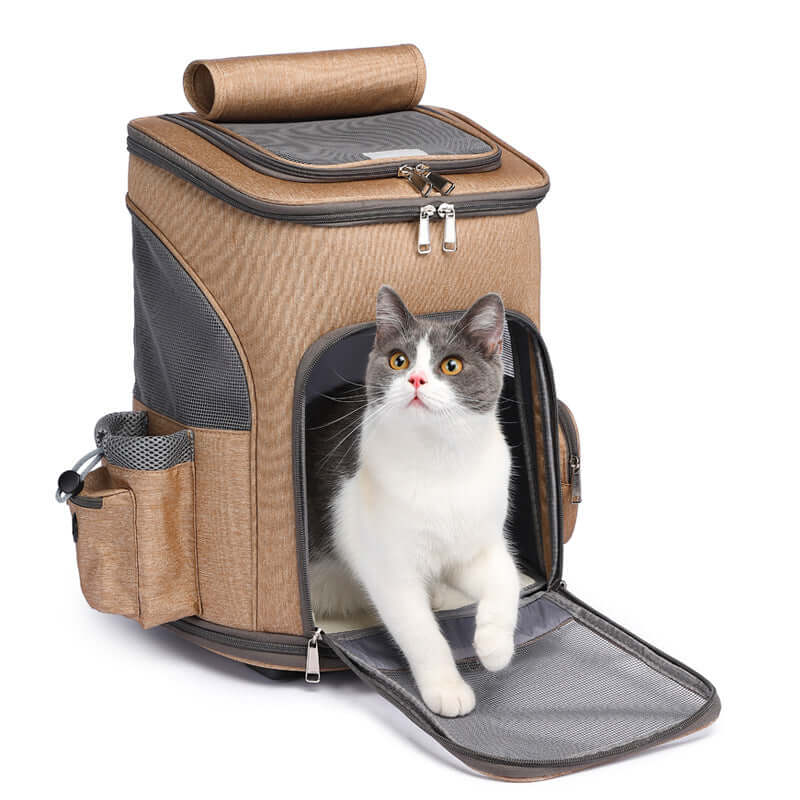 Praktischer Trolley Rucksack mit Katze, ideal für sicheres Reisen mit Haustieren
