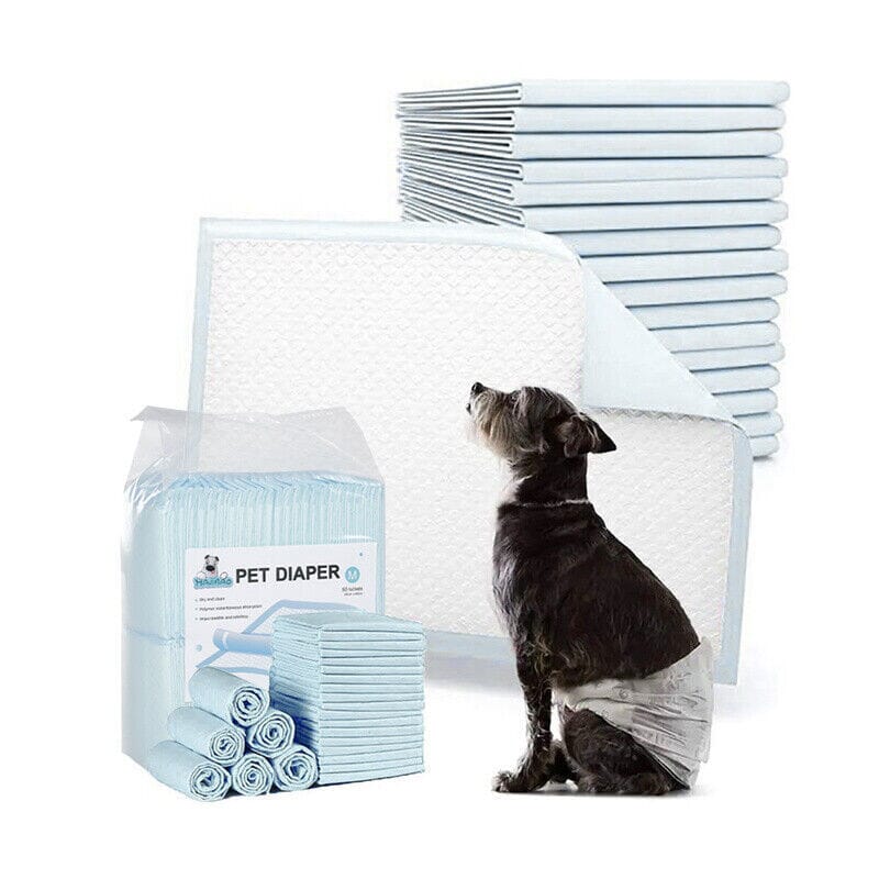 Premium Welpen-Trainingsunterlagen - Dry & Clean-MONTE-PETS