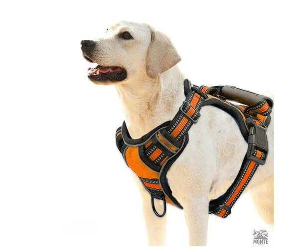 Sicher & Frei – Hundegeschirr mit Griff und Reflexstreifen | MONTE PETS