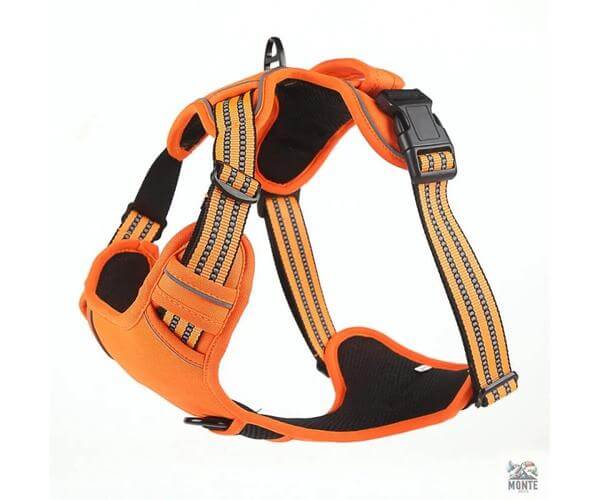 Sicher & Frei – Hundegeschirr mit Griff und Reflexstreifen | MONTE PETS