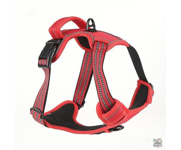 Sicher & Frei – Hundegeschirr mit Griff und Reflexstreifen | MONTE PETS