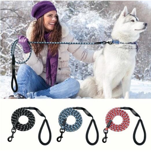 Small, medium and large dogs climbing ropes-MONTE-PETS