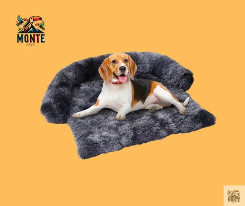 Hund Couch Wohlfühl Oase Grau von MONTE PETS mit einem Beagle auf der kuscheligen Oberfläche.